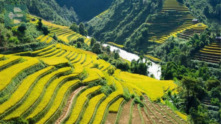 Best Places To Visit In Vietnam