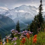 Best Places To Visit In Washington