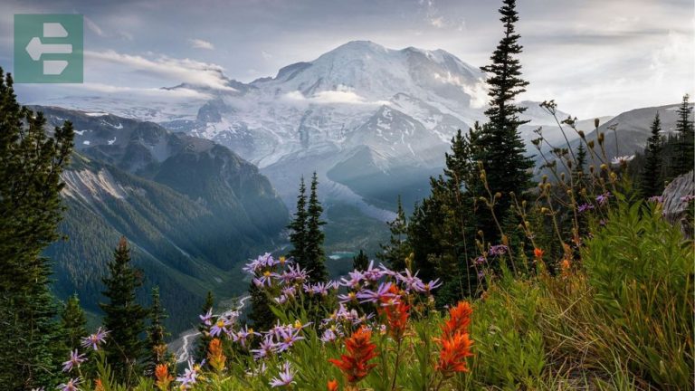 Best Places To Visit In Washington