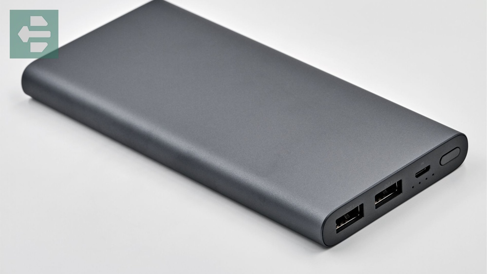 Portable battery pack