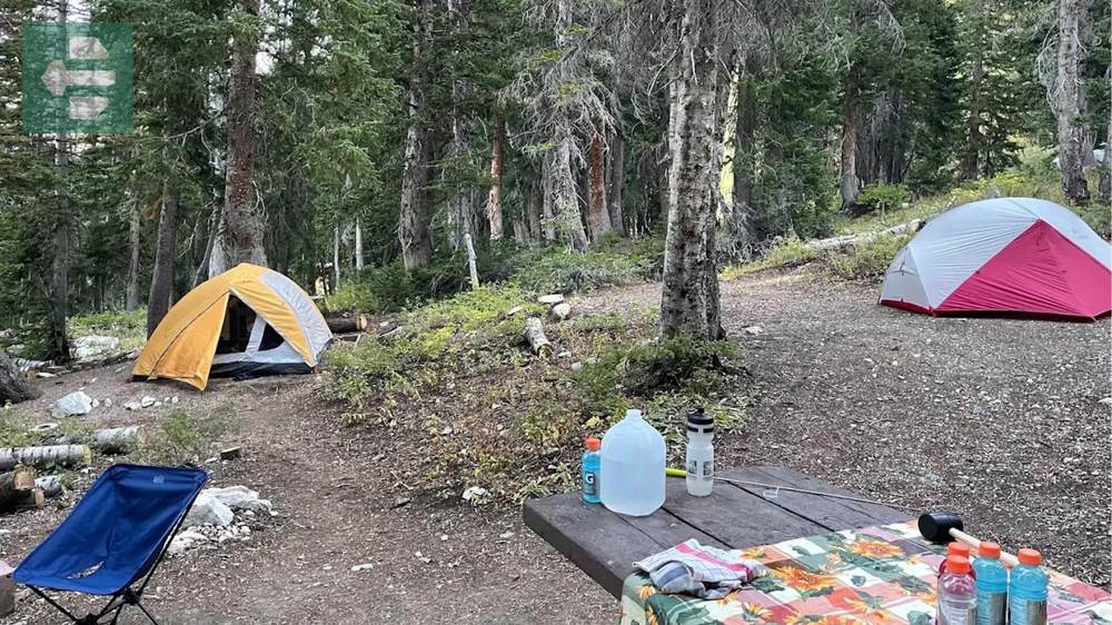 Albion Basin Campground