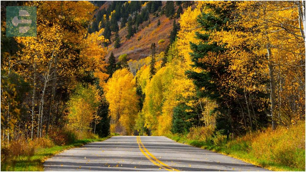 Aspen Colorado Autumn