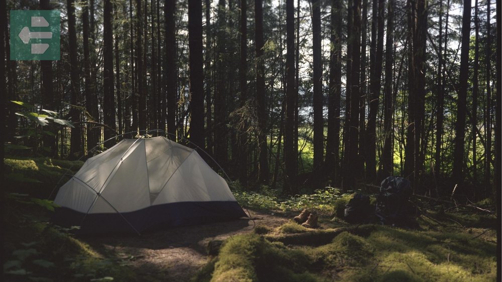 Bartlett Cove Campground Alaska