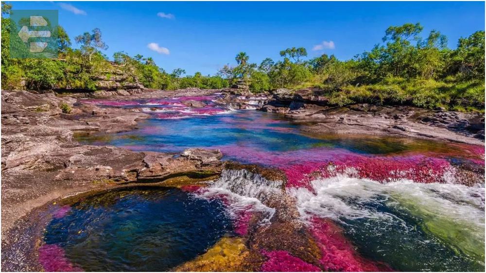 Cano Cristales Colombia