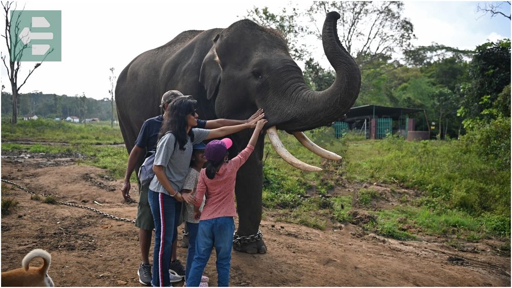 Coorg Karnataka