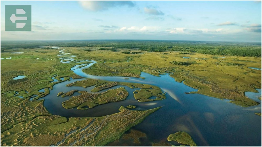 Everglades Florida