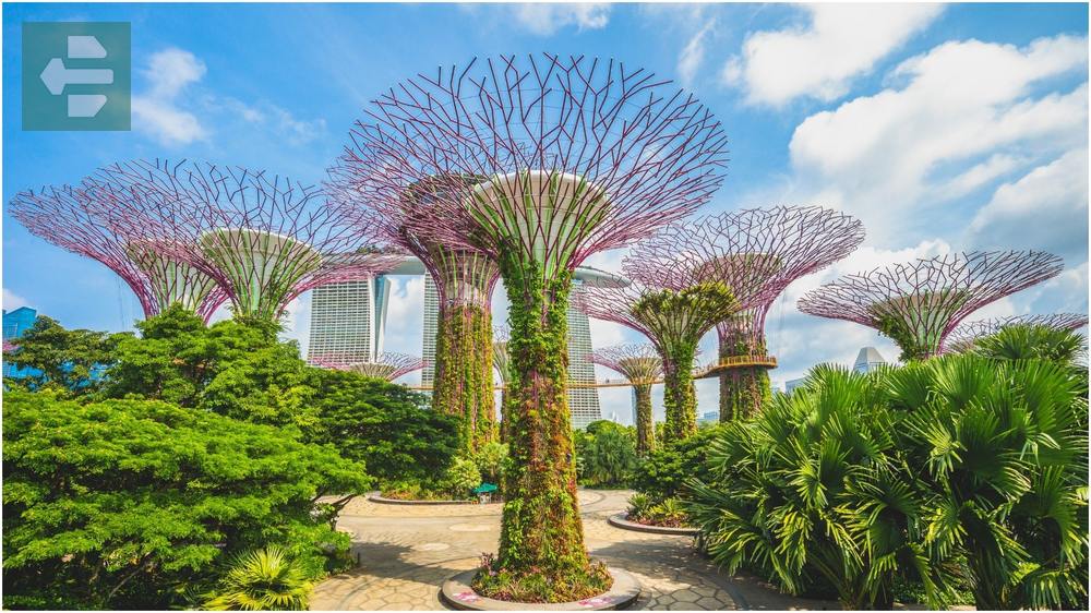 Gardens by the Bay Singapore