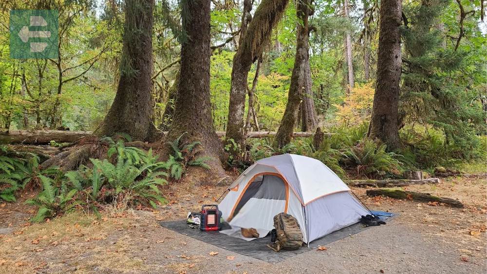 Hoh Campground Olympic National Park