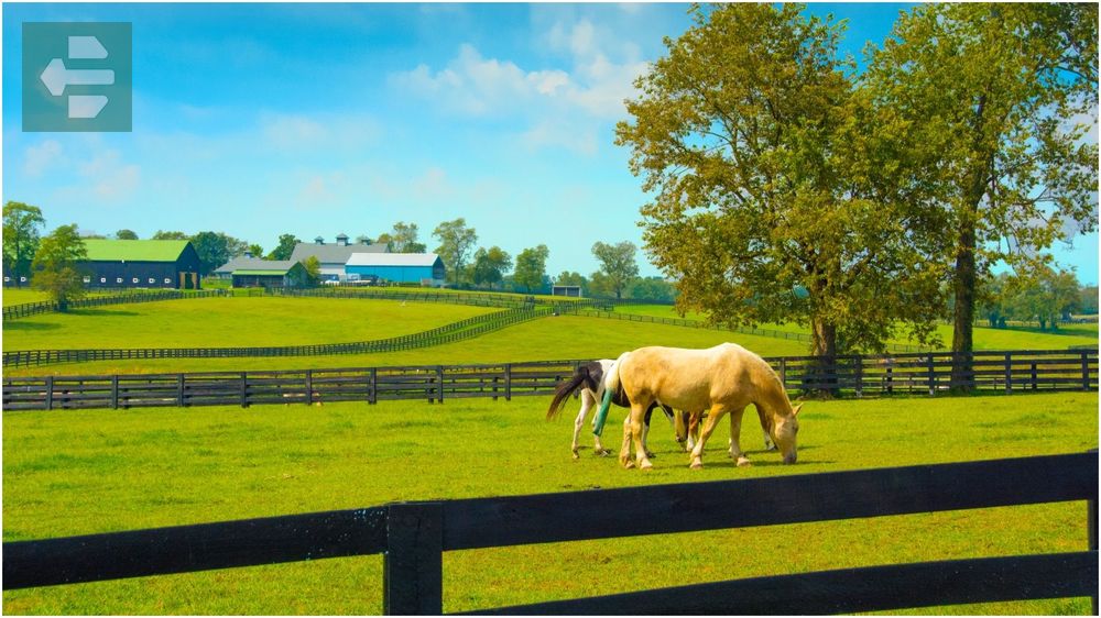 Kentucky Horse Park Lexington Kentucky