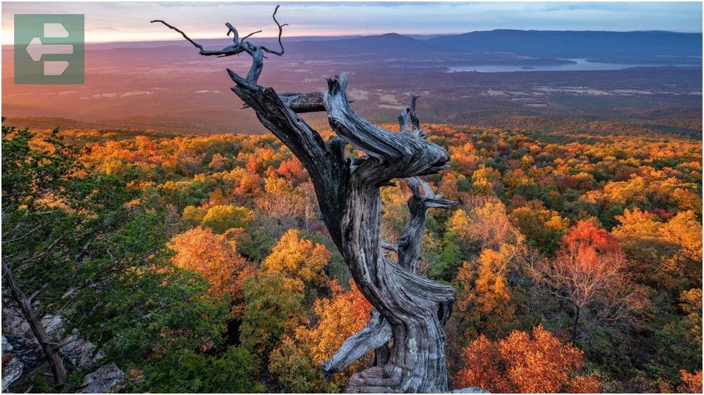 Mount Magazine State Park