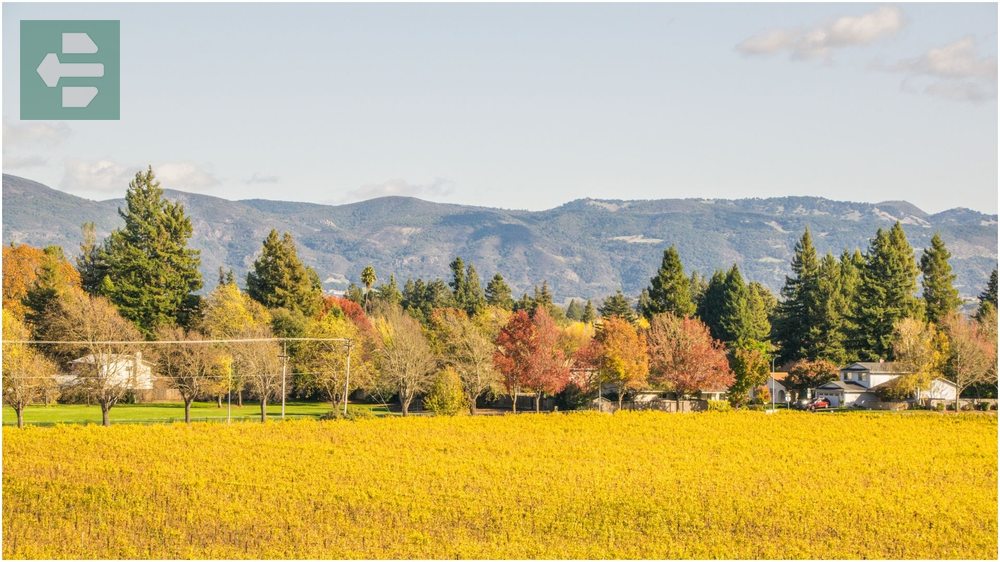 Napa Valley California Autumn