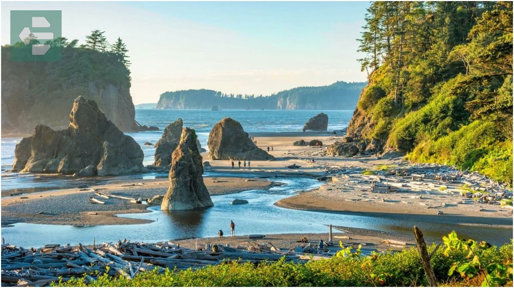 Olympic National Park Washington
