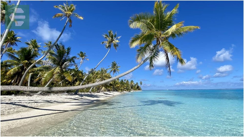 Pk 9 Beach French Polynesia