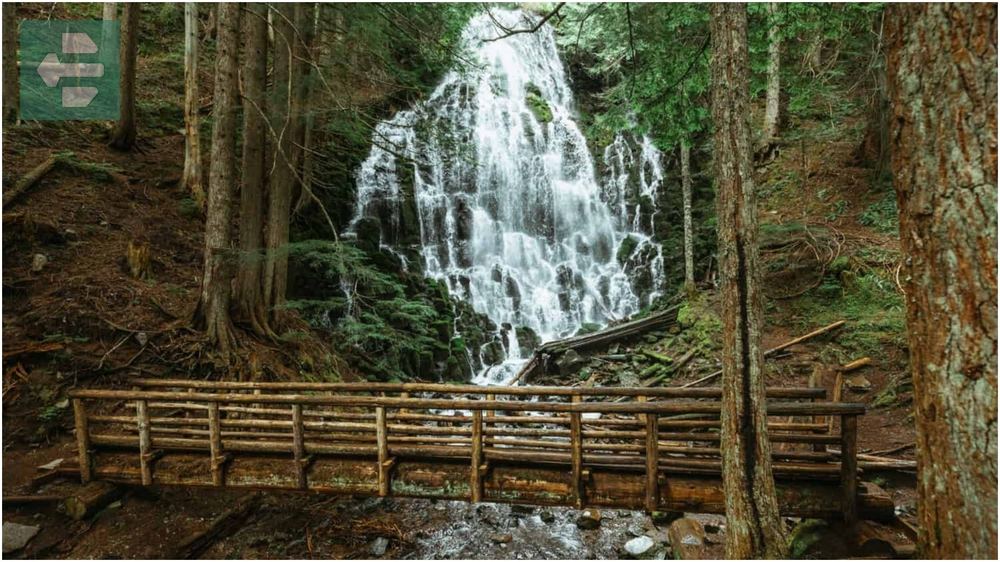 Ramona Falls Trail Oregon