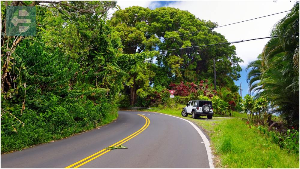 Road to Hana Hawaii
