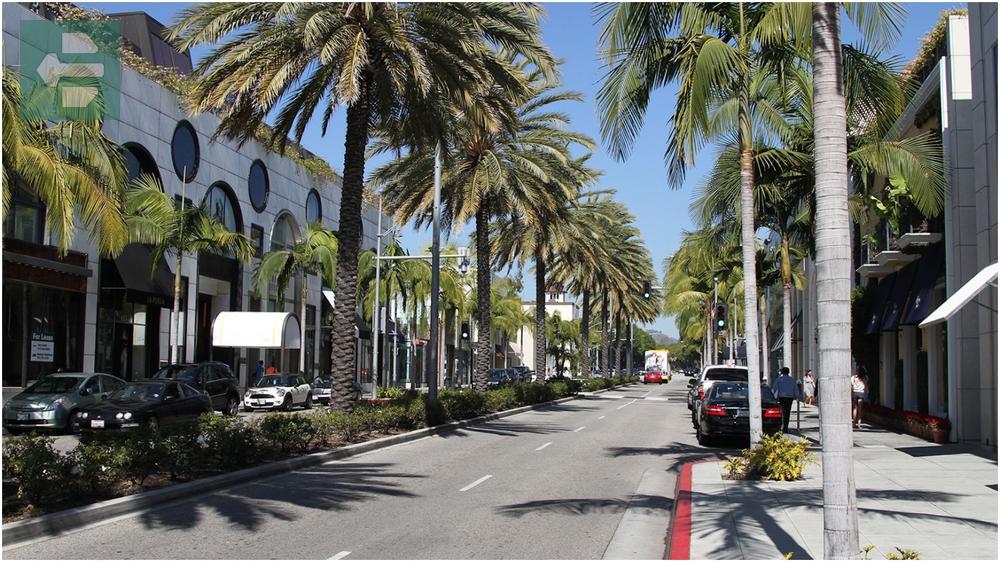 Rodeo Drive