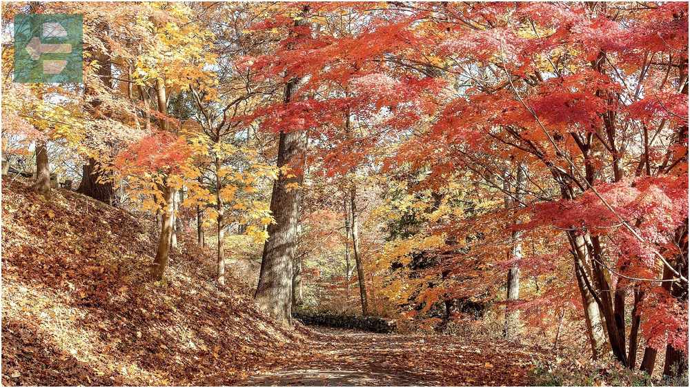 Sleepy Hollow New York Autumn