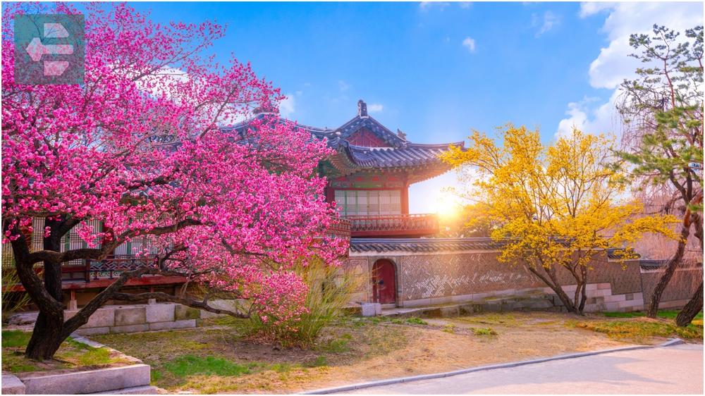 South Korea Autumn