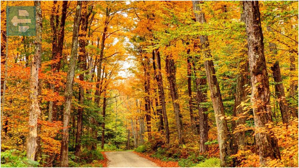 The Berkshires Massachusetts