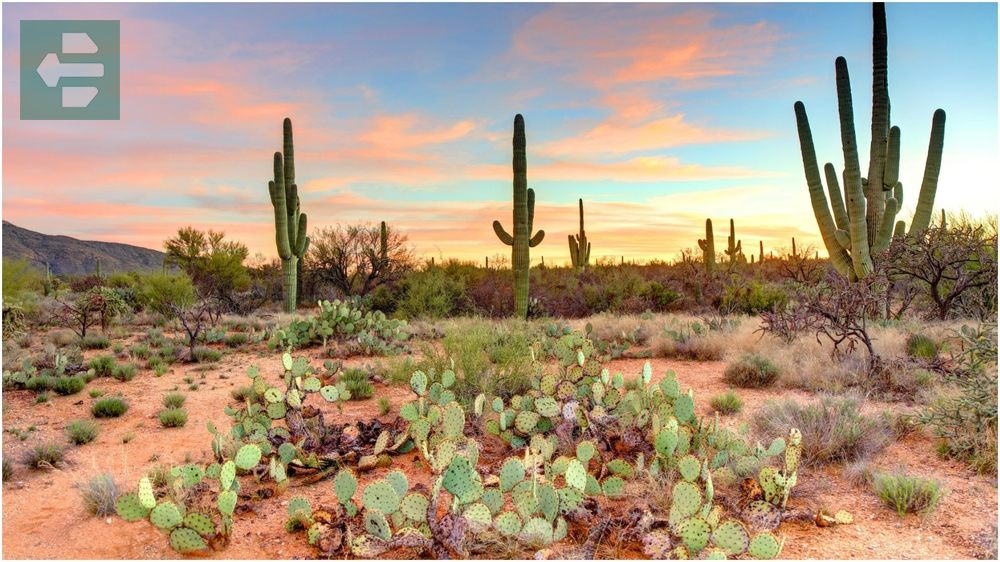 Tucson Arizona