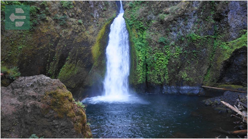Wahclella Falls Trail Oregon