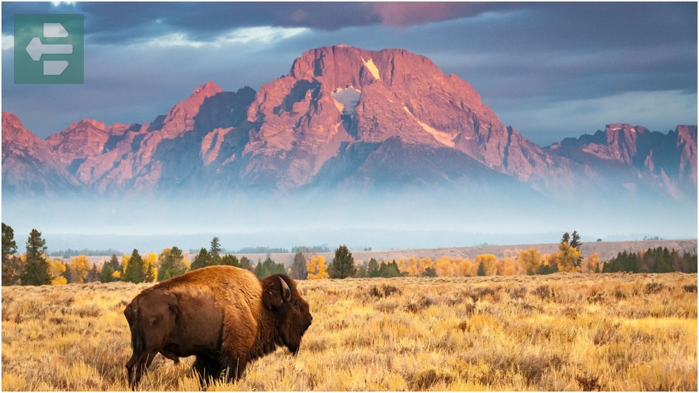 Wyoming US
