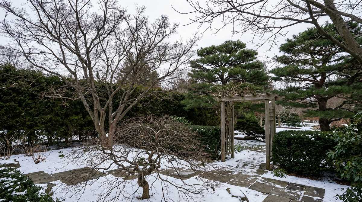 A serene winter garden scene featuring bare tree branches with artistic silhouettes against a backdrop of evergreens. The composition highlights the architectural beauty of maples, stewartias, and pruned pines in Japanese garden design, emphasizing fundamental forms and spatial relationships during the winter season.