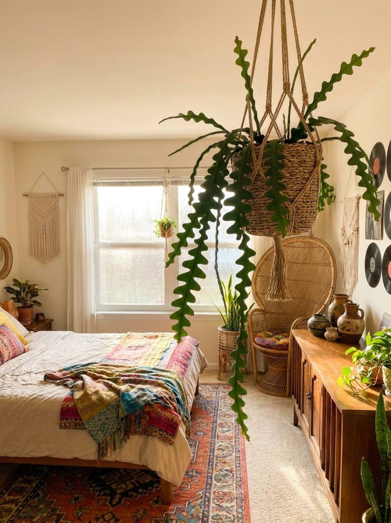 A vibrant rickrack cactus plant hanging in a woven basket in a bohemian bedroom, with a bed adorned with a colorful patterned blanket and a vintage dresser.