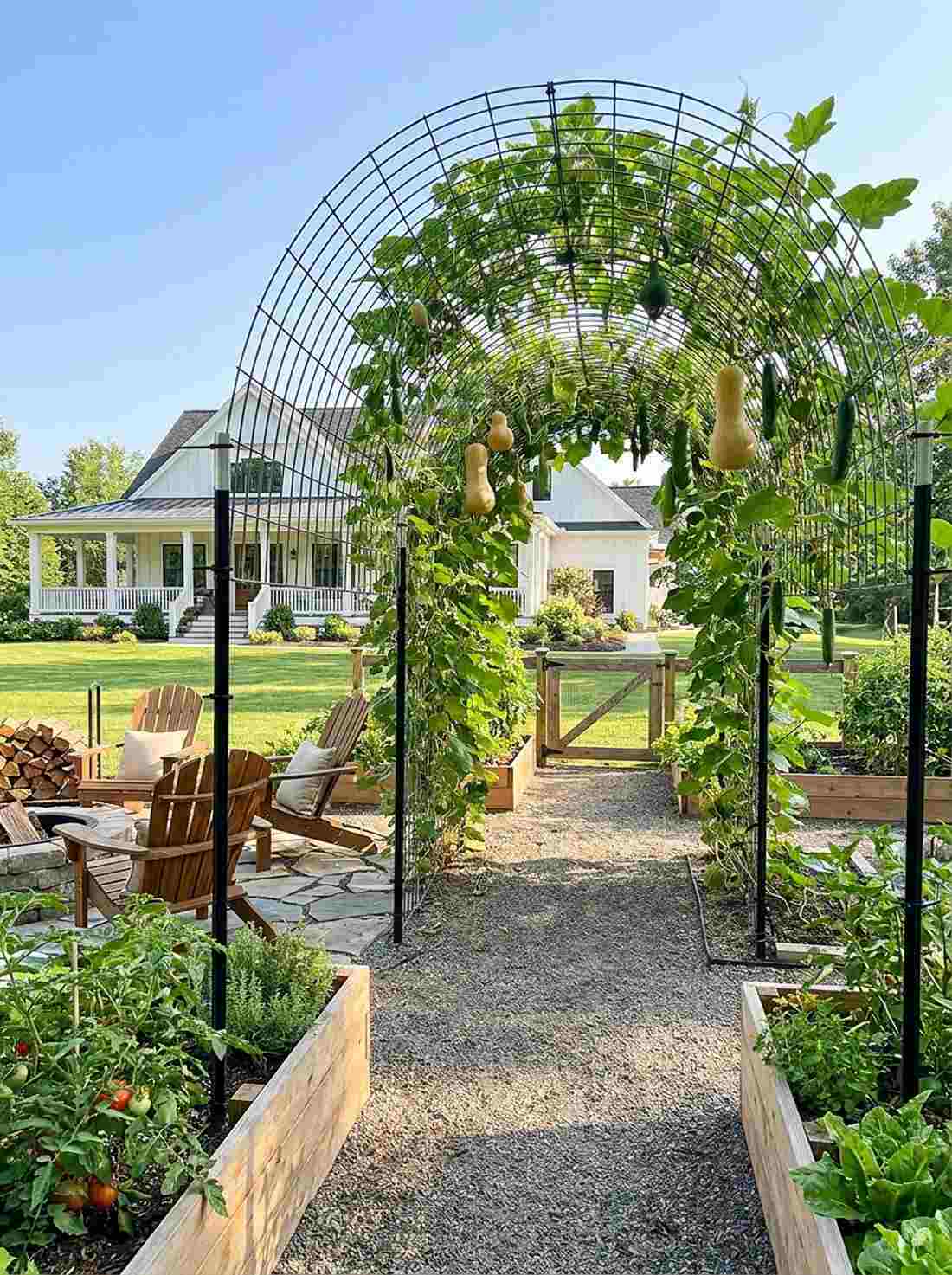 arched steel trellis for vegetables