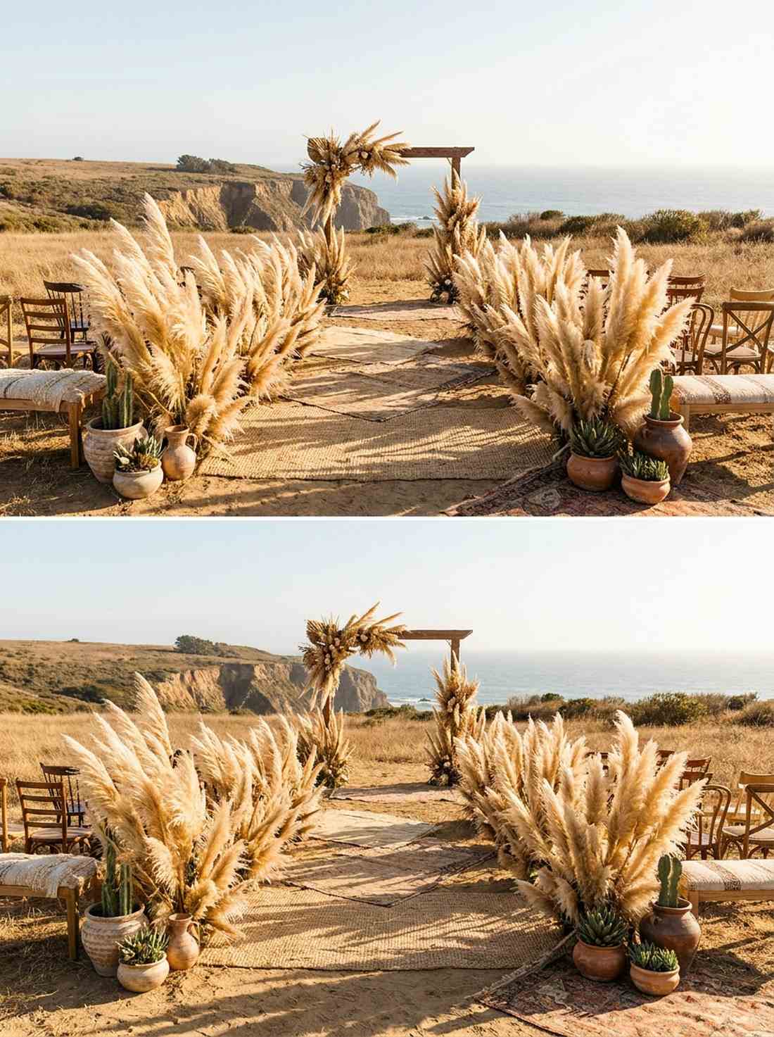 pampas grass ceremonial pathway