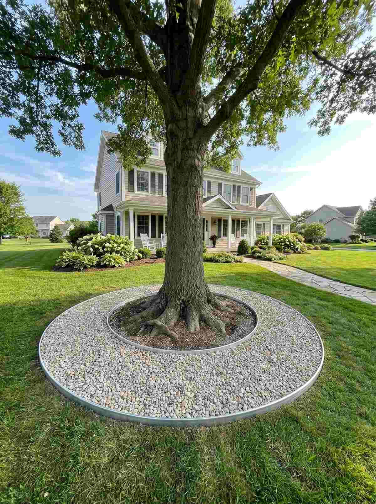 specimen tree gravel ring