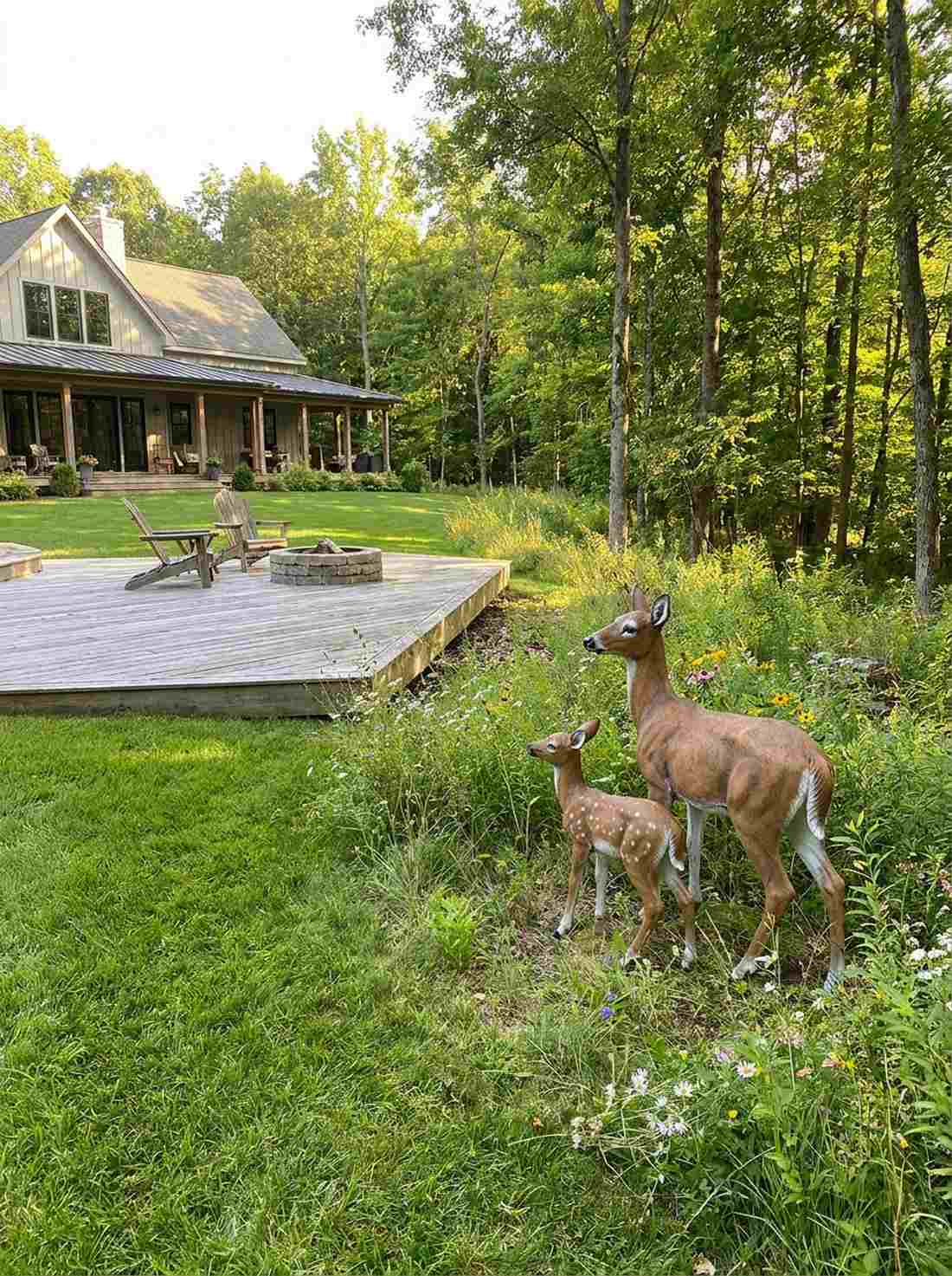deer family scenes
