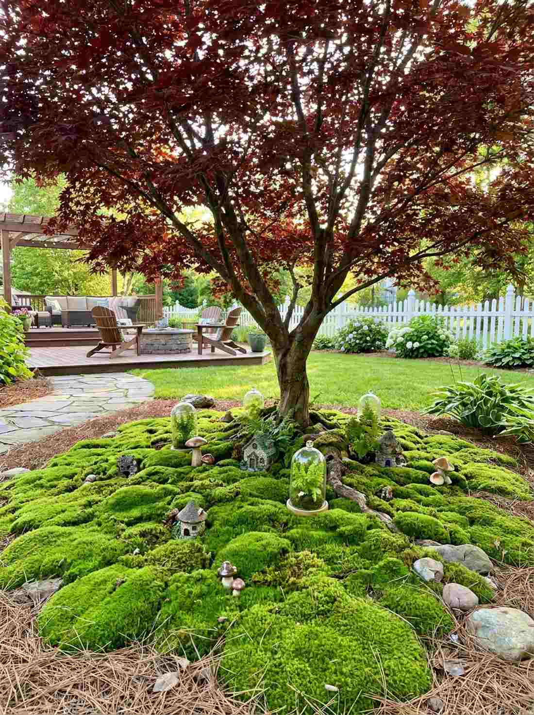 moss under maple canopy