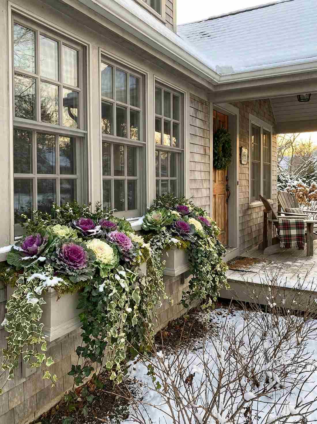 window box winter plantings
