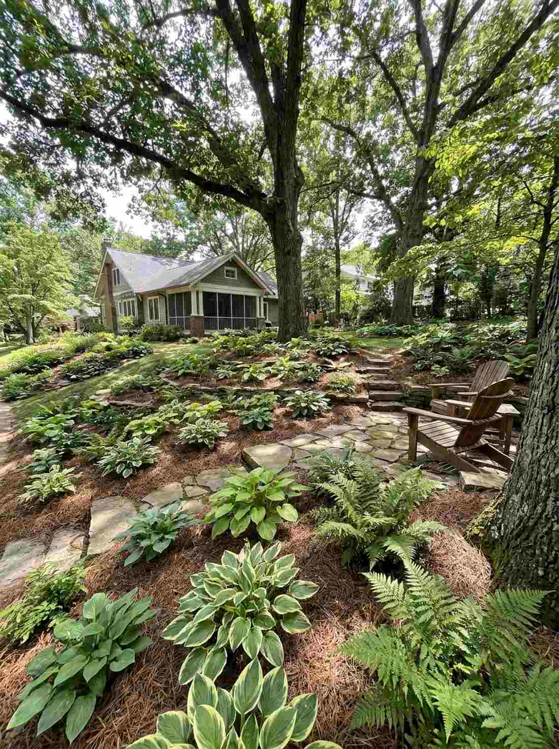 woodland edge transitions
