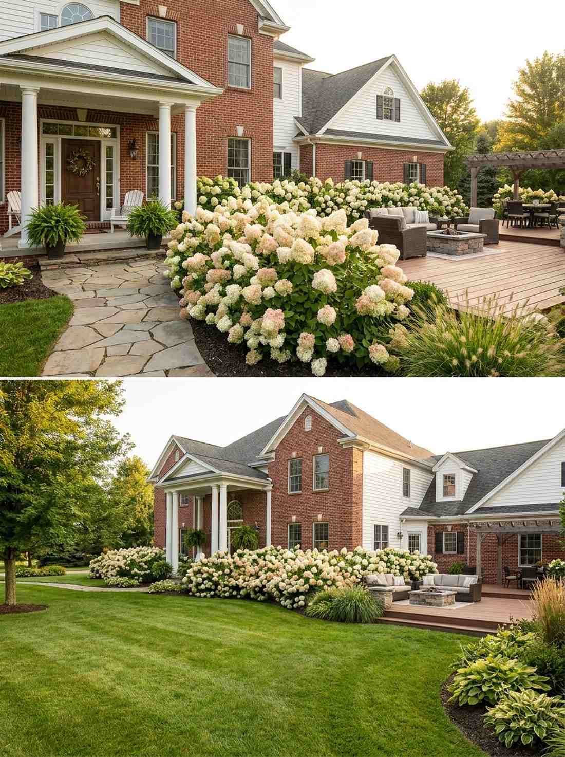 hydrangea foundation showcase
