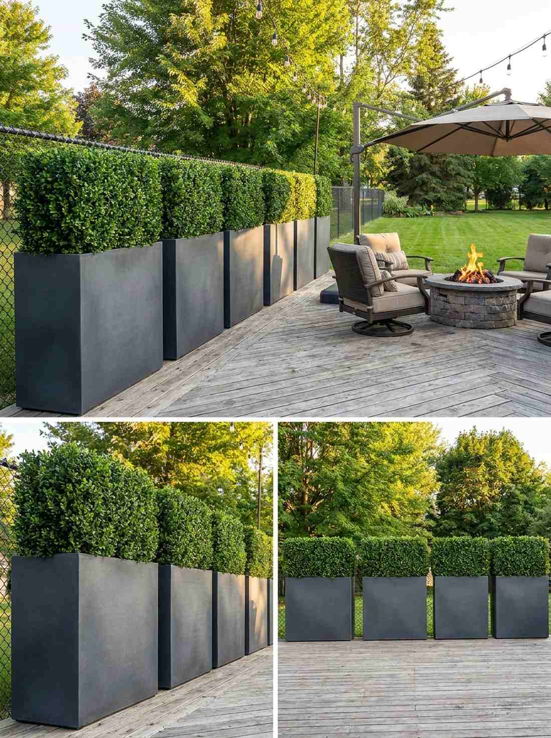 potted plant boundary markers