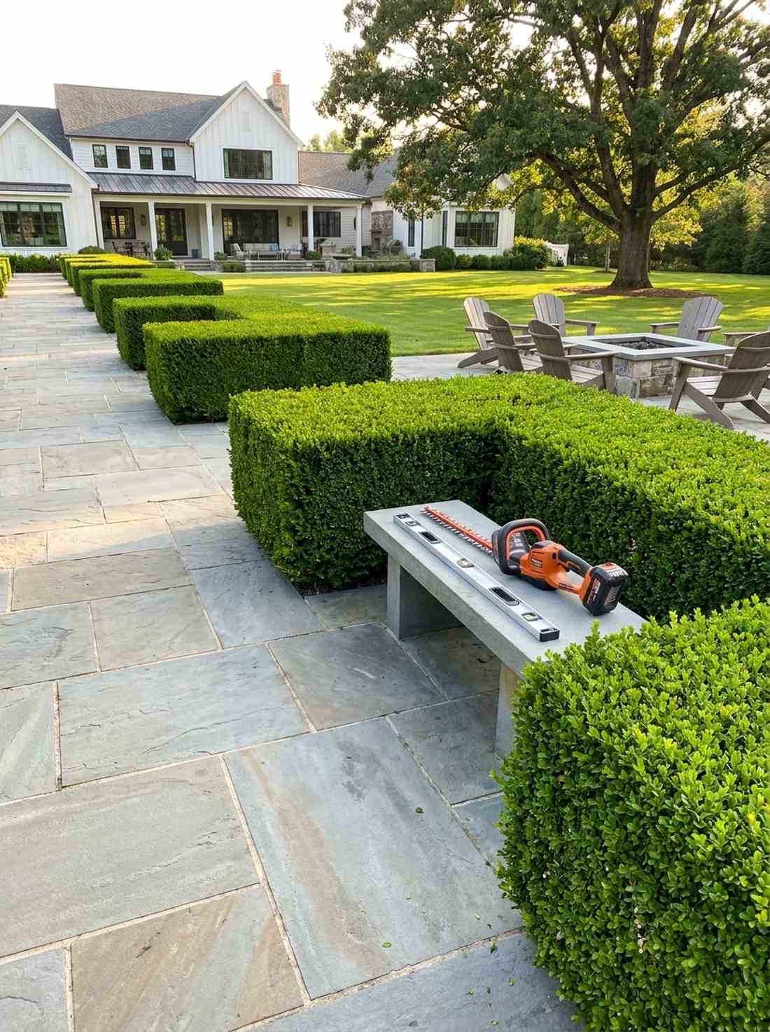 formal boxwood hedges
