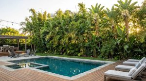 410 tropical hedging plants vertical