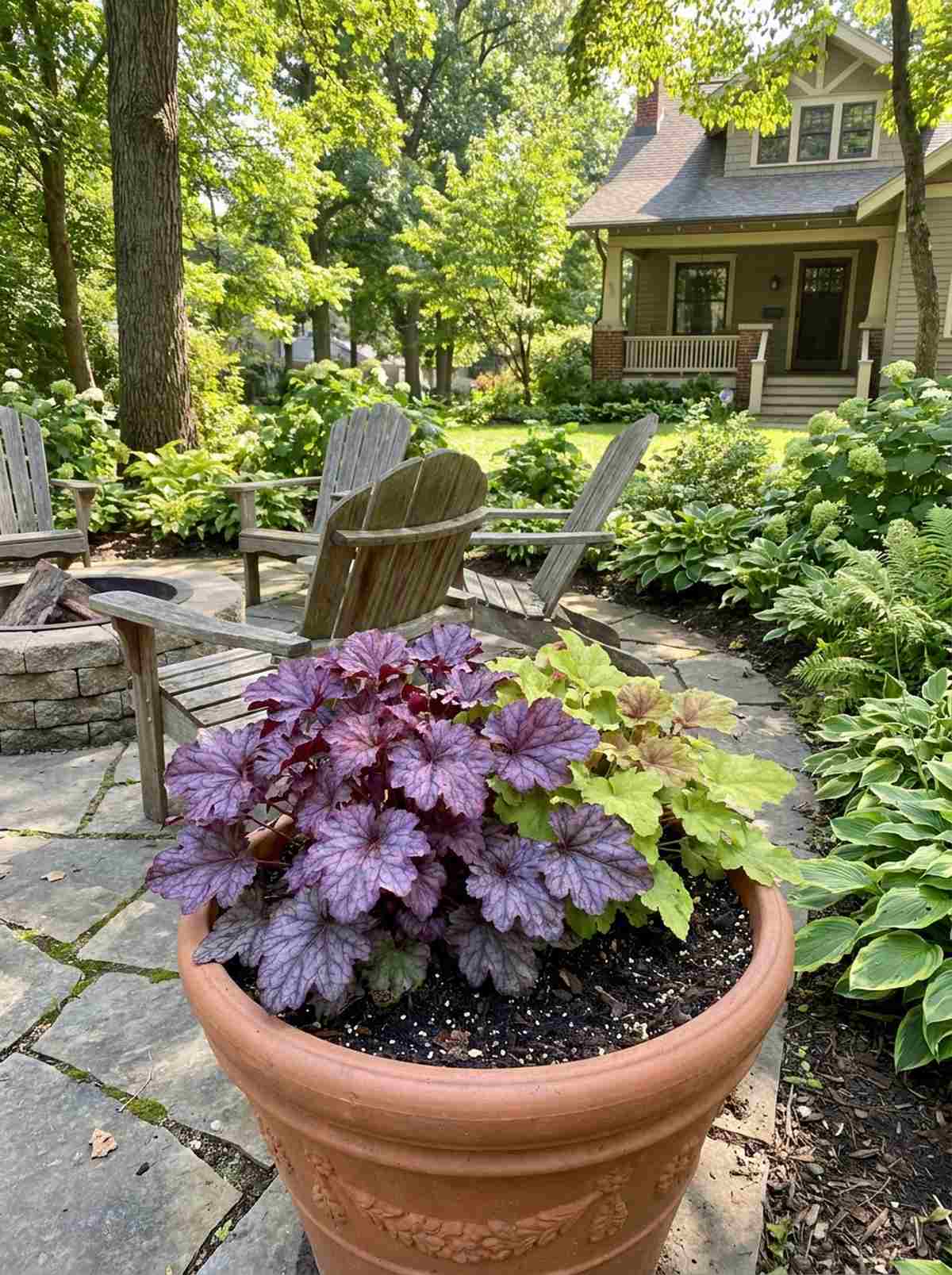 coral bells