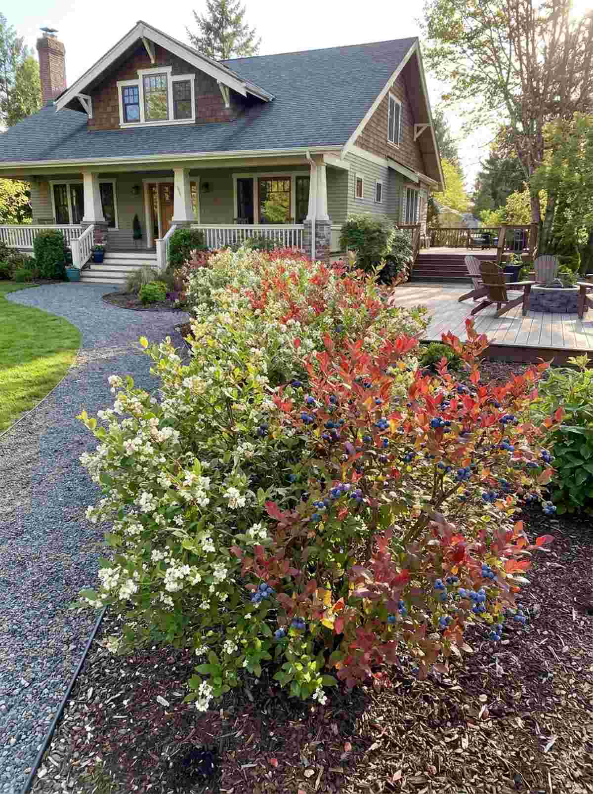 berry hedge boundaries