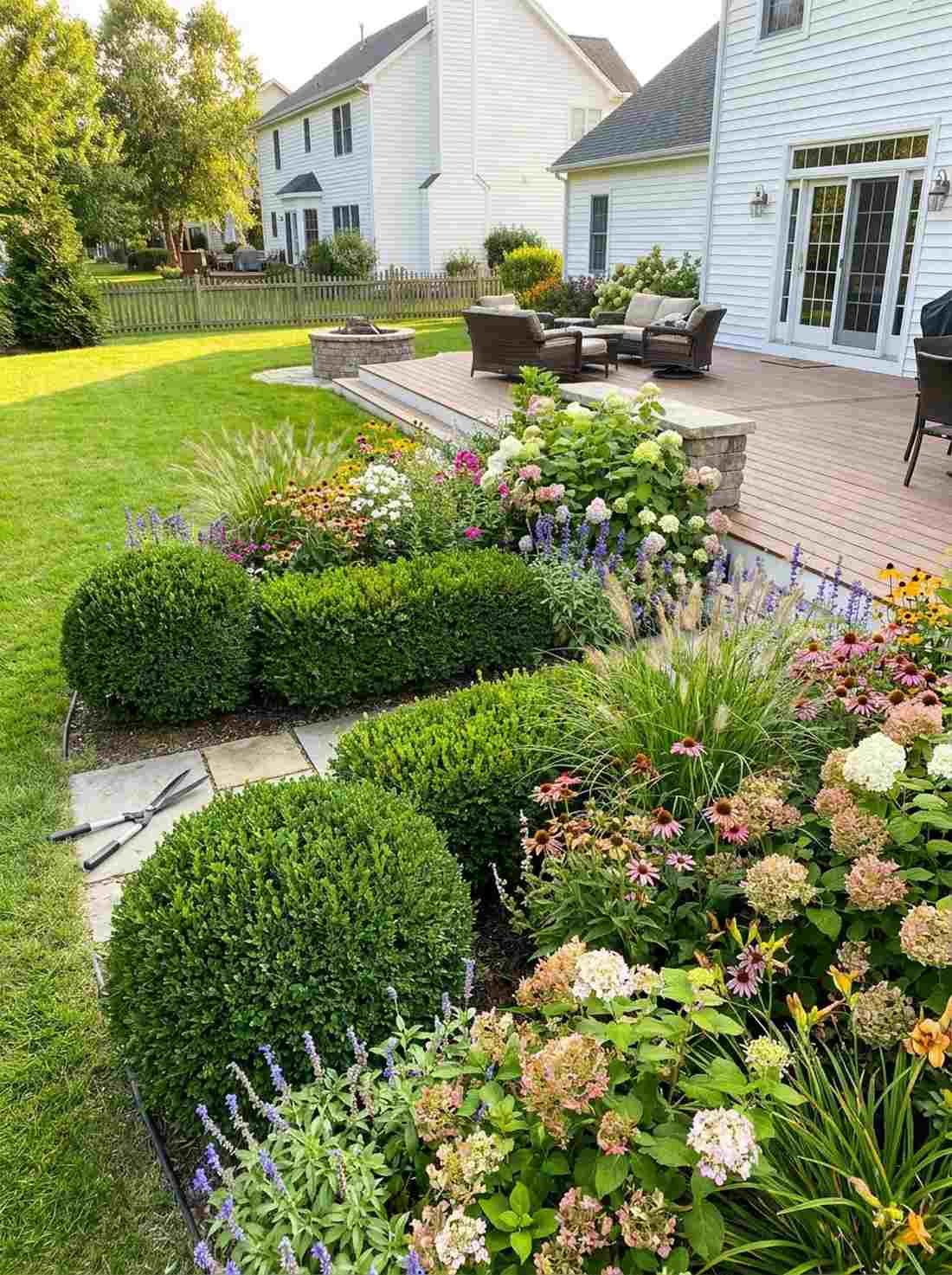 evergreen structure plants