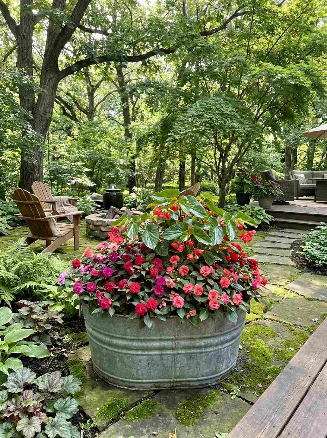 shade loving impatiens sanctuary