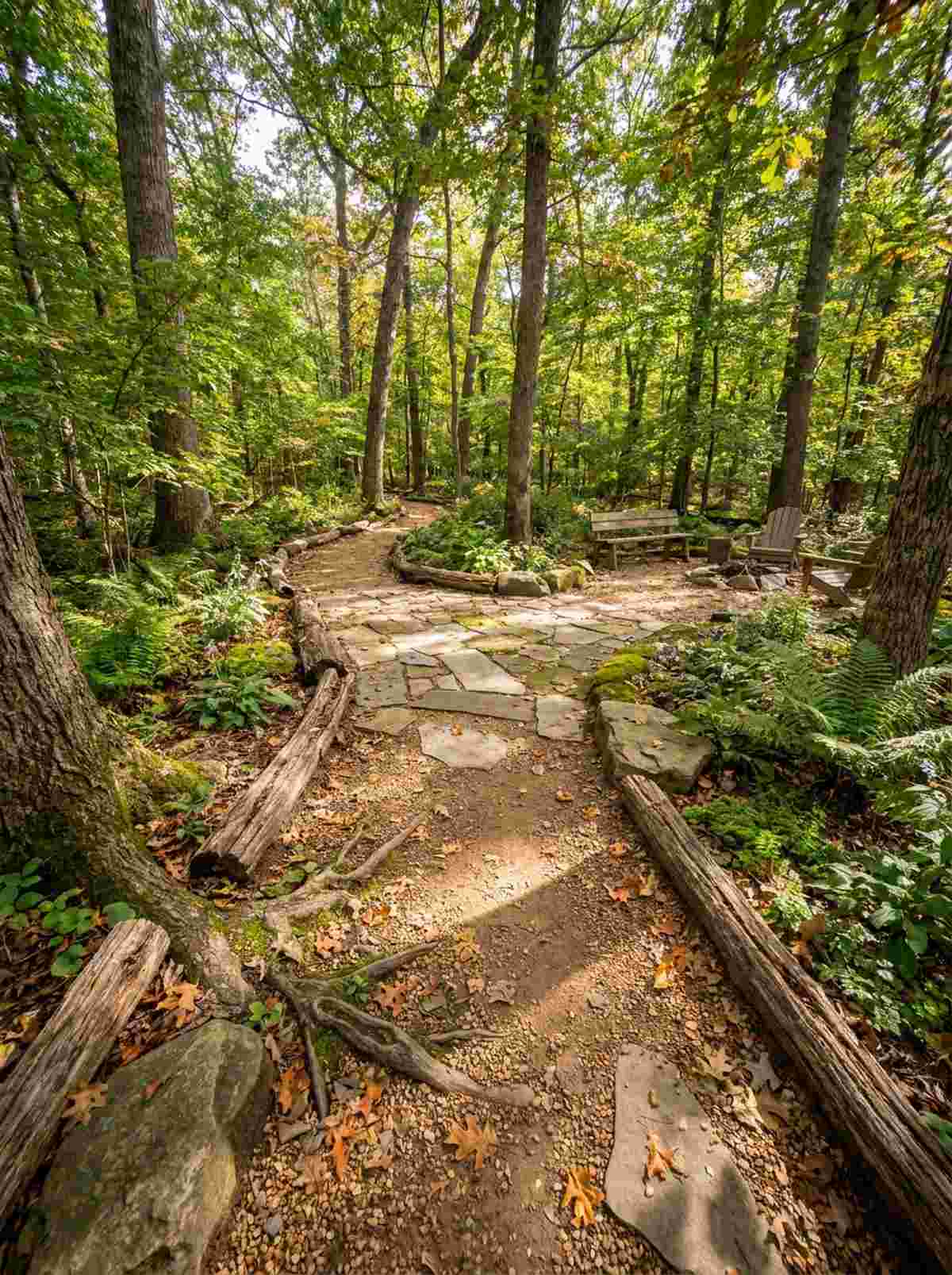woodland garden trail