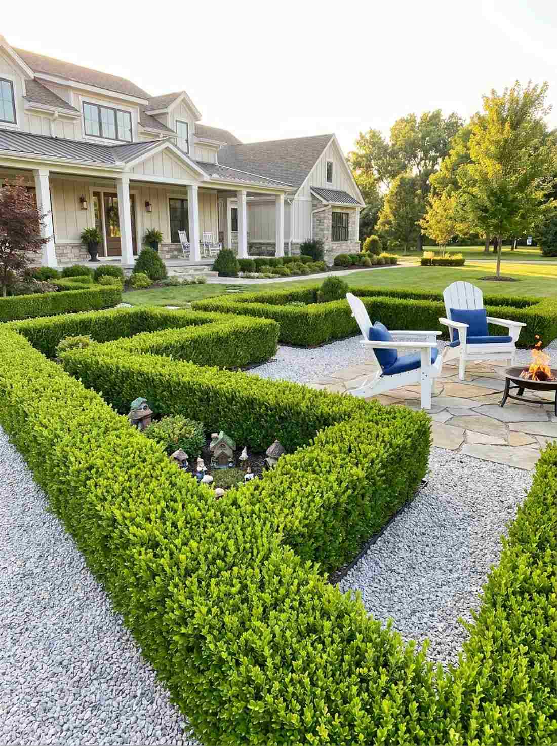 boxwood hedges in rows