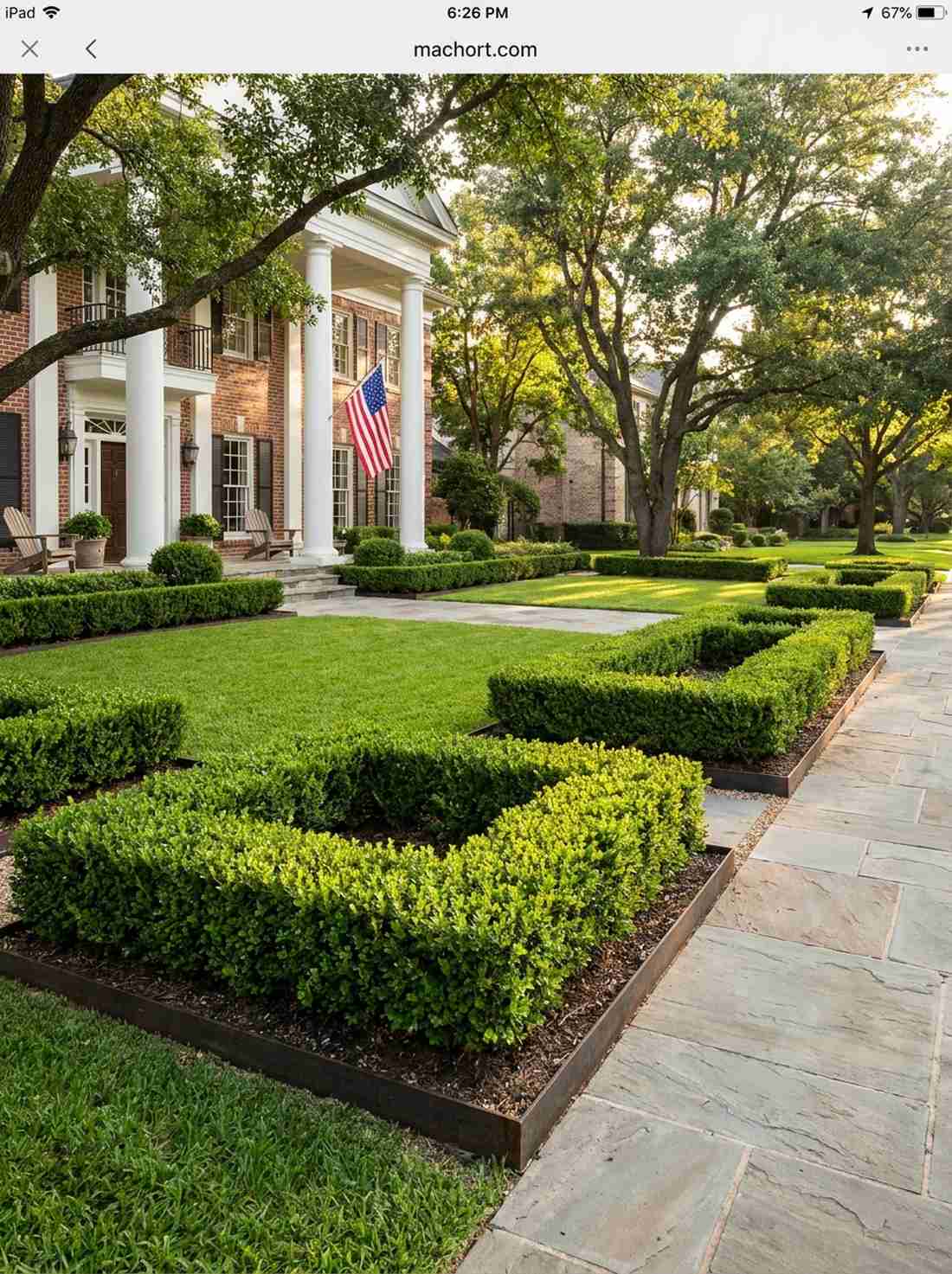 boxwood matrix borders