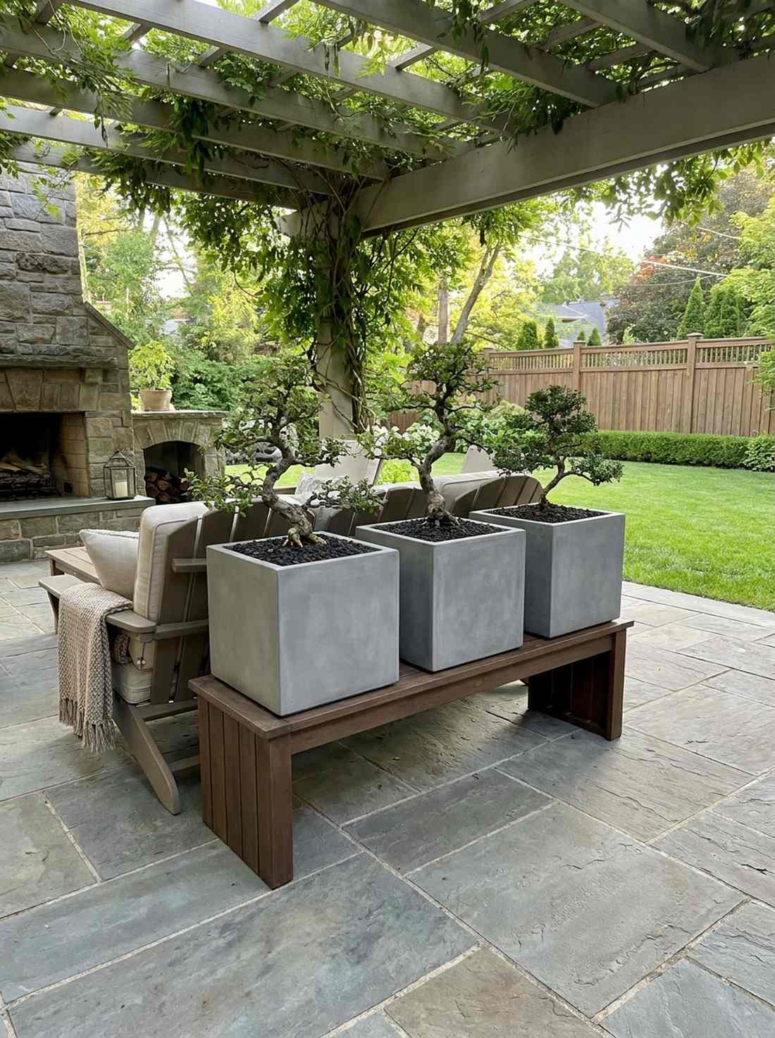 cube planters with bonsai specimens