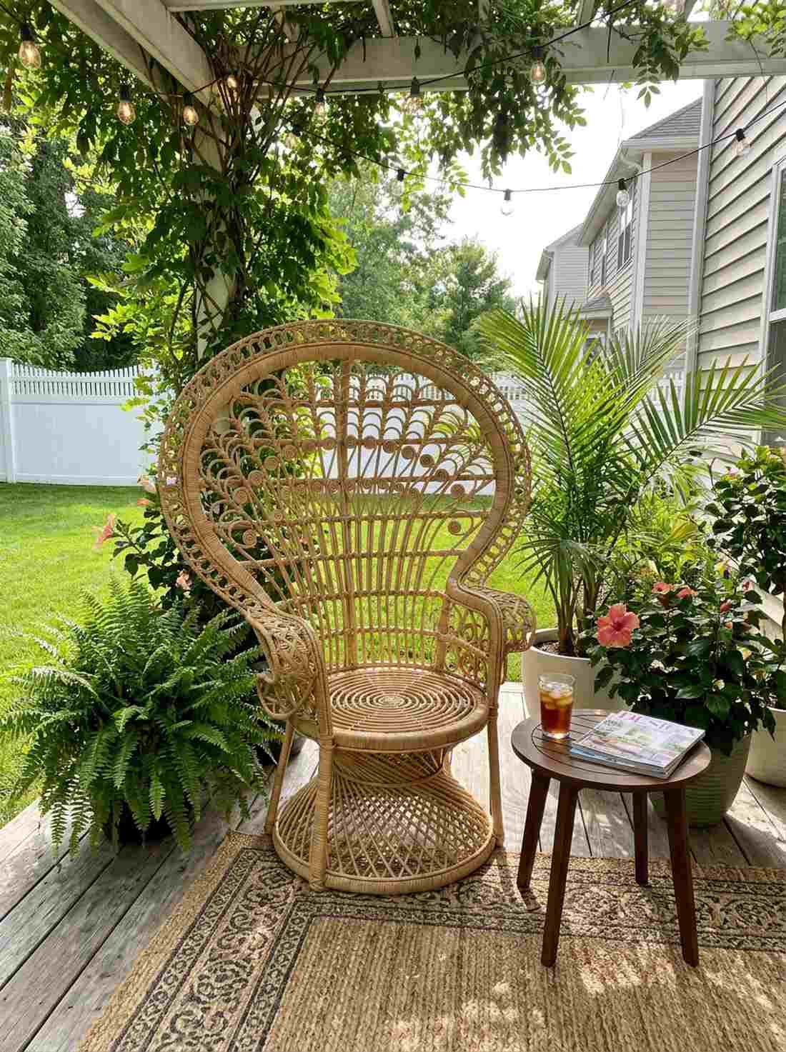 peacock rattan chair