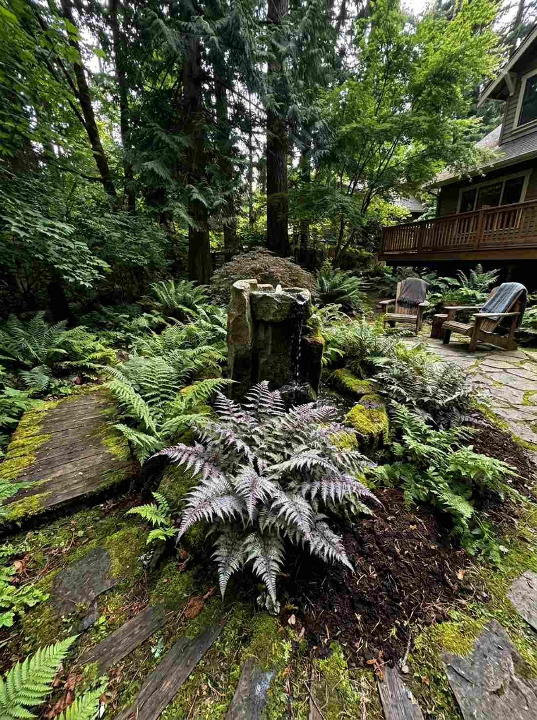 fern grove naturalistic setting