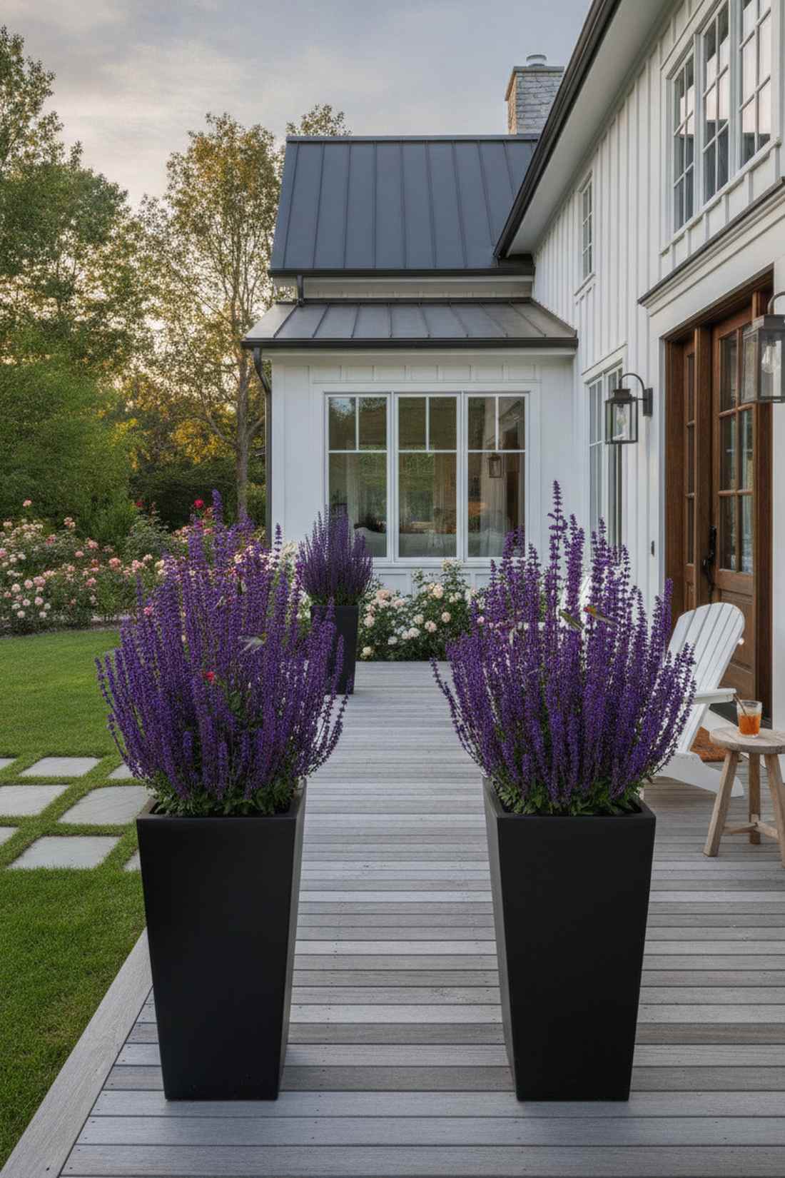 salvia